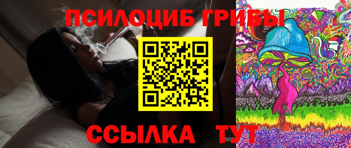 где купить наркоту  Вход с VPN  Тюмень  Галлюциногенные грибы Cubensis 